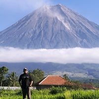 suara asli - WH15051010