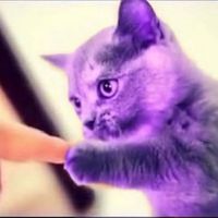 NOT a black pill edit