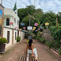 allinesoares1023