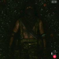 milo_bee