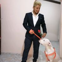 saulhafid2