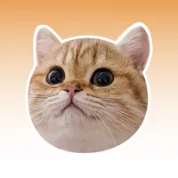 original sound - papayaho.cat