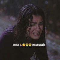 yahairarostran523