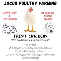 jacobpoultryfarming