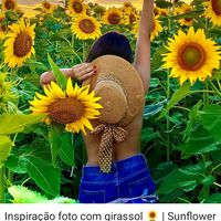 ceciliarodrigu190