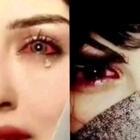 dleky_shkaw001