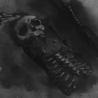 original sound - djdownnout