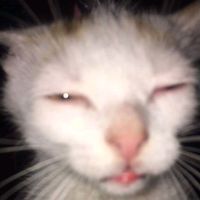 som original - ThingsByHudz