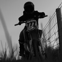 anton_54361
