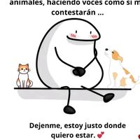 sonido original