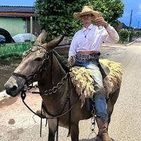 lindomarfilho299