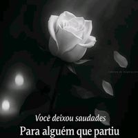 pepl.de.4.dona.219