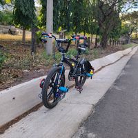 el_conejo_malo503