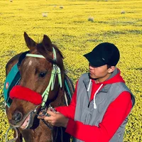 original sound - erasulsherikhan