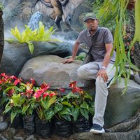 suara asli - arikprolink