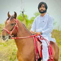 shaniheer4