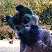kite_tf