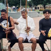 lobinho_capoeira