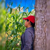 florsr_37