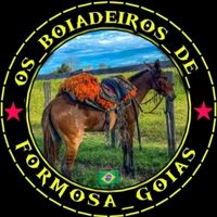 os_boiadeiros_de_goias
