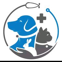 sashavetcare