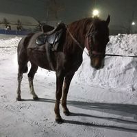 оригинальный звук