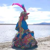 gaviotita229