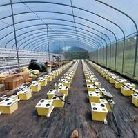 sky_agro_ltd