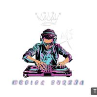 musica_sur_2.6