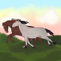 emo_cowboy.casper