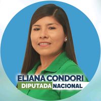 eliana.condori.diputada