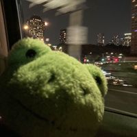 you right x luxurious