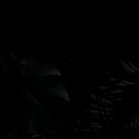 оригінальний звук