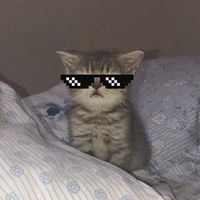 user1722903480332