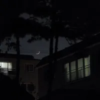 original sound - _idfk.lol