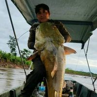 efrain_pedro