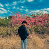 adnanjunejo77