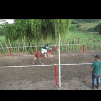 jose0837476