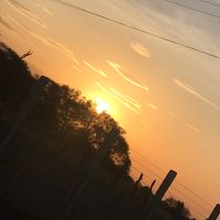 .diih3