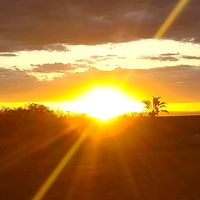 mariadefatimaramo902