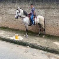 original sound - isaqu_cunha07