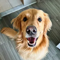 original sound - aguyandagolden