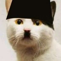 suara asli - warga.meme