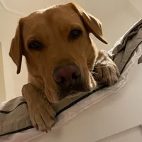 original sound - benjiiberlin