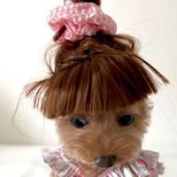 pepperjackcheeselover