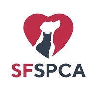 sanfranciscospca