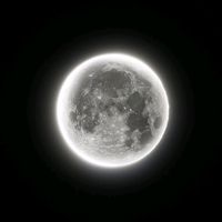 Eu sou uma rata senhora