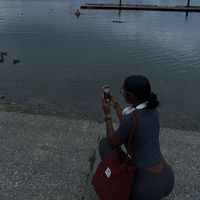 mylynnticktockaccount