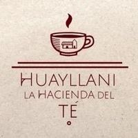 huayllanilahaciendadelte