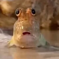 sponge baby so cute aww